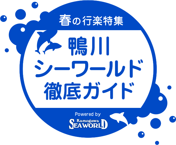 春の行楽特集 鴨川シーワールド徹底ガイド Powered by Kamogawa SEA WORLD