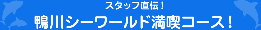 スタッフ直伝！鴨川シーワールド満喫コース！