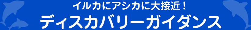 イルカにアシカに大接近！ディスカバリーガイダンス