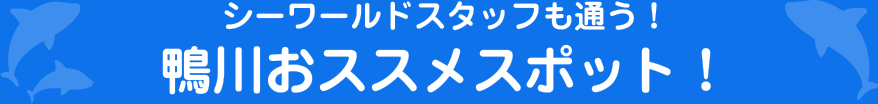 シーワールドスタッフも通う！鴨川おススメスポット！
