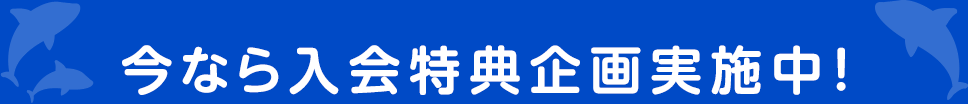 今なら入会特典企画実施中！