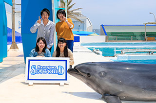 イルカと記念写真