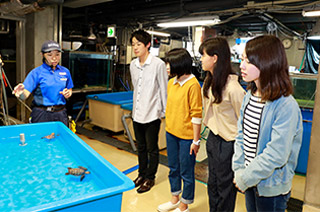 水族館まるごとウォッチング