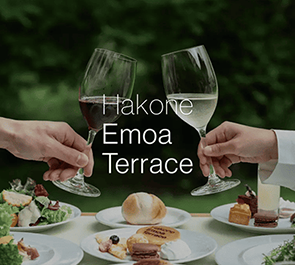 Hakone Emoa Terrace 箱根エモアテラス