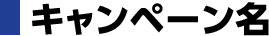キャンペーン名