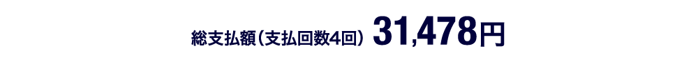 総支払額(支払回数4回)31,478円