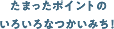 たまったポイントのいろいろなつかいみち！