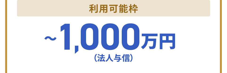 利用可能枠 〜1,000万円(法人与信) ※個別対応も可能