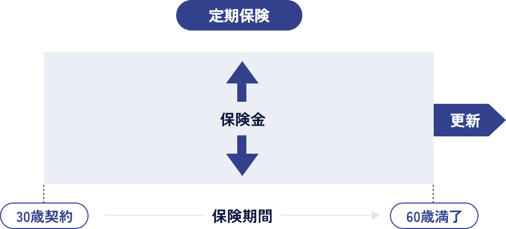 定期型保険とは?