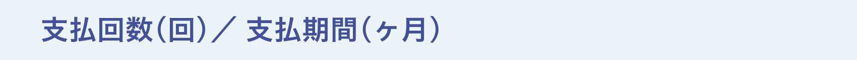 支払回数(回)/支払期間(ヶ月)
